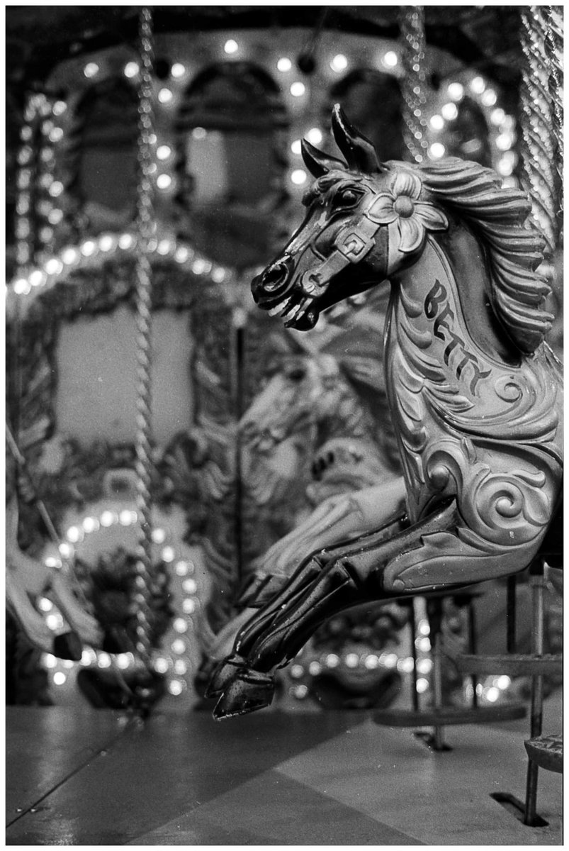 ASanguineOok's tweet photo. @imjkunst Fomapan 200 in Rodinal 1:50, 10 mins at 20°c, I love it, especially for such a cheap film. Also, Roger loves it too
https://t.co/N9Yx9HYUHW
#sflab #filmisnotdead https://t.co/pWgQA6JzDp