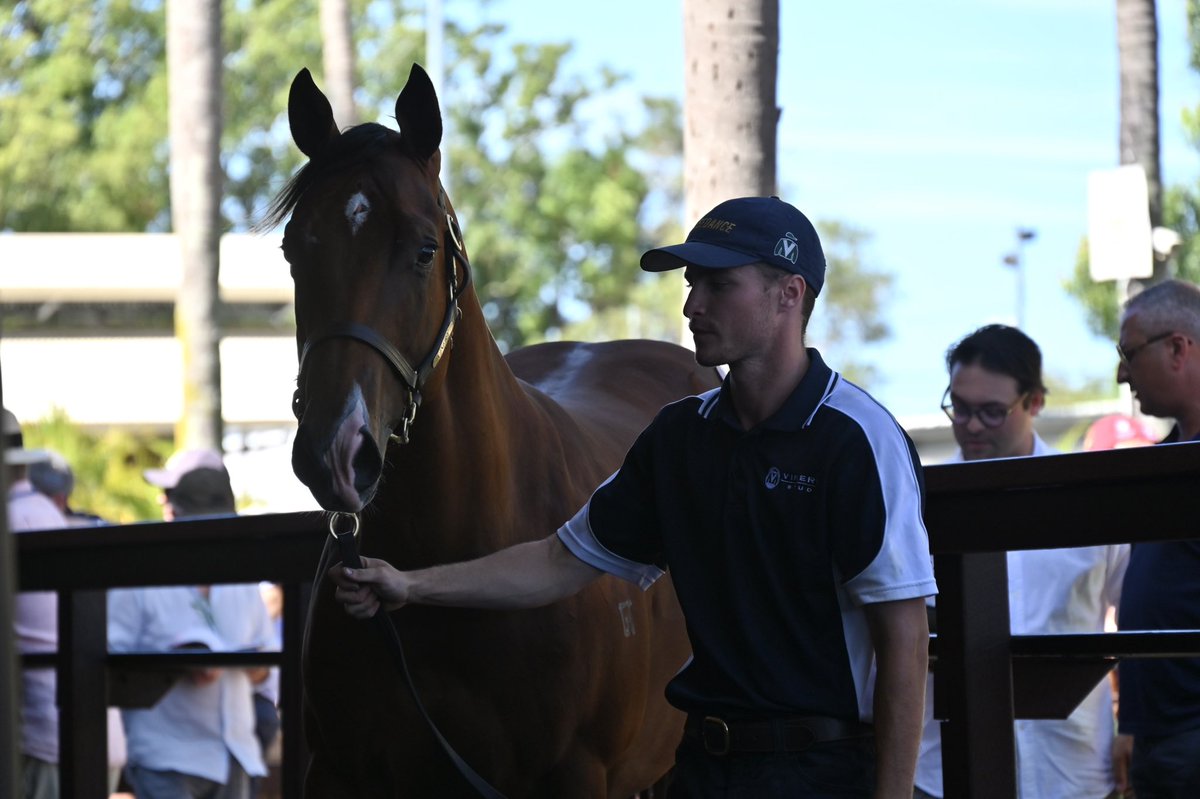 VineryStud tweet picture