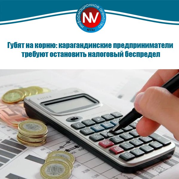 Новый вестник tweet media