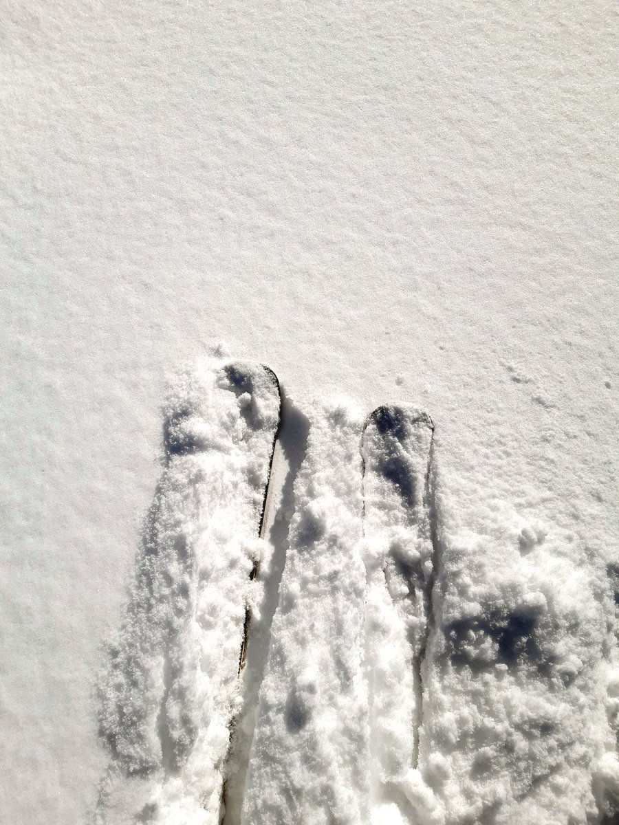 LesSybelles's tweet photo. 🔴 En direct des Sybelles
Dernières chutes de neige (relevés du matin) :
🏂🏻 35cm de neige fraiche à 1500m 🏂🏻 50 cm de neige fraiche à 2400m
#neige #stationsdeski #montagne #retourdelaneige #chutesdeneige @PLRP75 @ALTERNATIVEPR https://t.co/uiMPZDZxcI