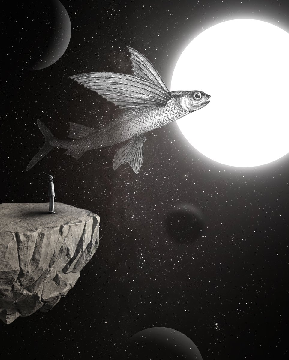 rezvane_'s tweet image. GM World! 🖤

&quot;𝘜𝘯𝘥𝘦𝘳 𝘵𝘩𝘦 𝘭𝘪𝘨𝘩𝘵&quot; 𝘢𝘷𝘢𝘪𝘭𝘢𝘣𝘭𝘦 𝘰𝘯 @foundation 
Link🔻