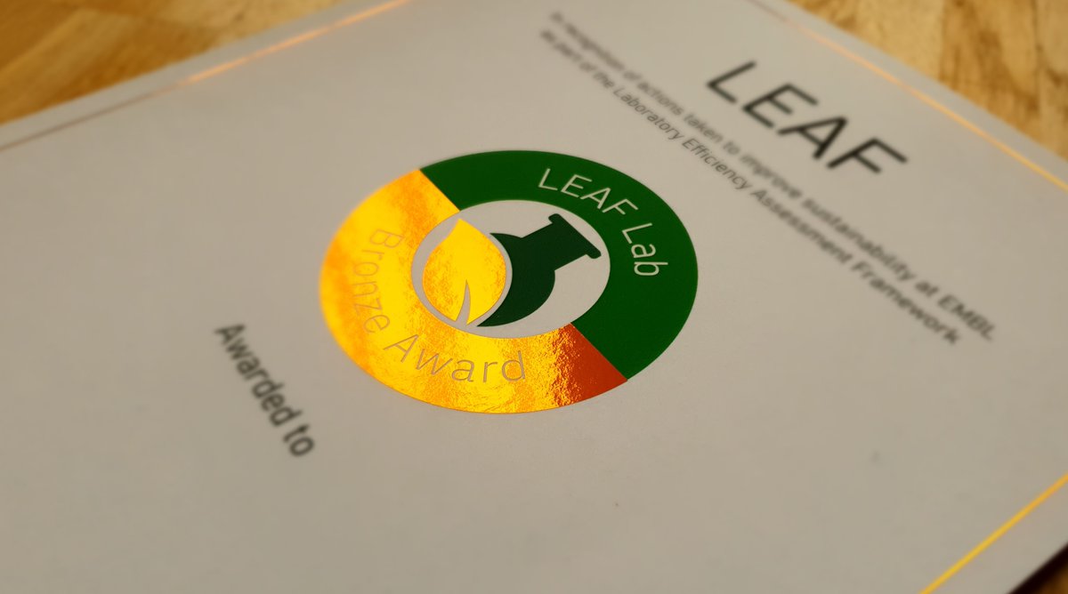 embl's tweet photo. Congratulations to the first wave of EMBL groups who were awarded @LEAFinLabs awards!

22 groups received bronze awards and one silver for improving or changing practices for more sustainable research. 

Read more about EMBL’s sustainability journey at https://t.co/DxUvAYDyol https://t.co/HzNiAF66Gs