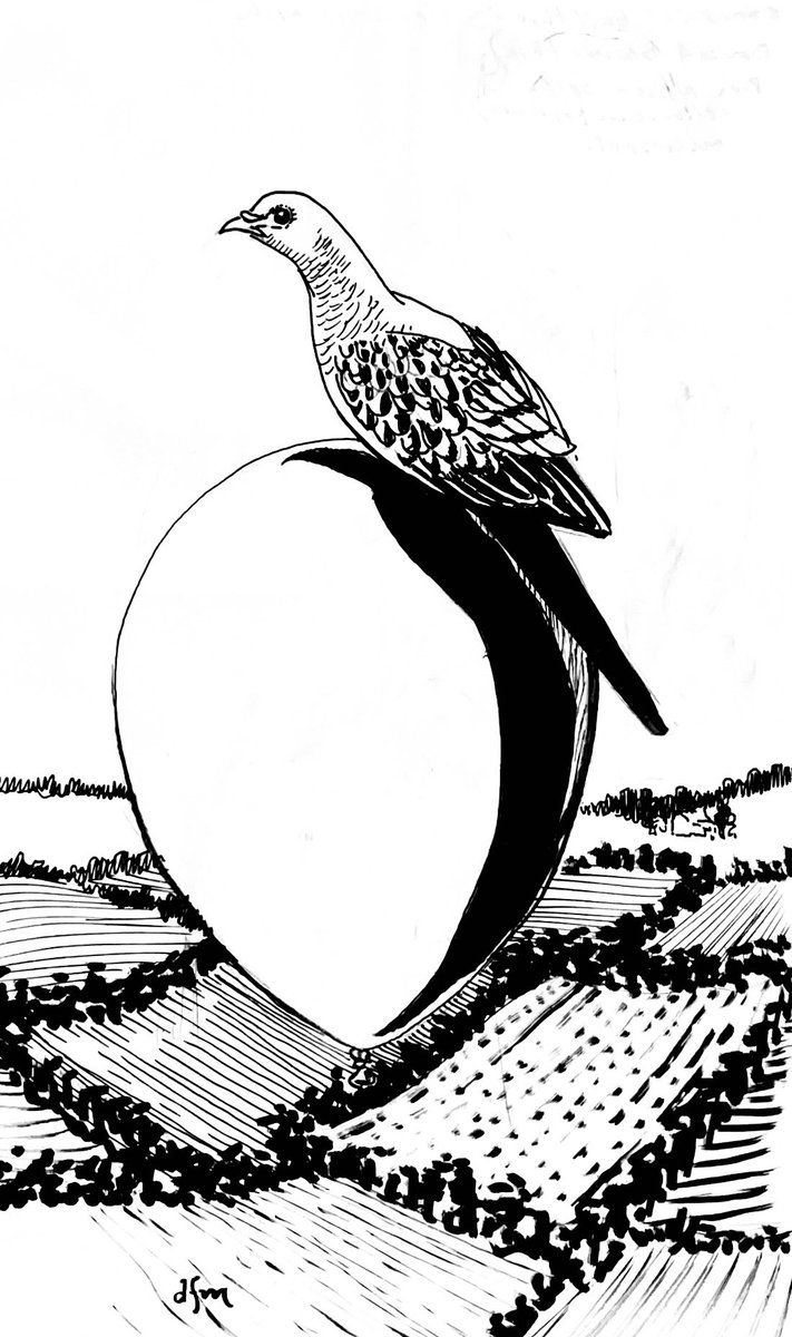 dfmorrill's tweet photo. #extinctloon #passengerpigeon as a passenger on a balloon #animaloon_collective @Animaloonies https://t.co/VcEJe30RwN