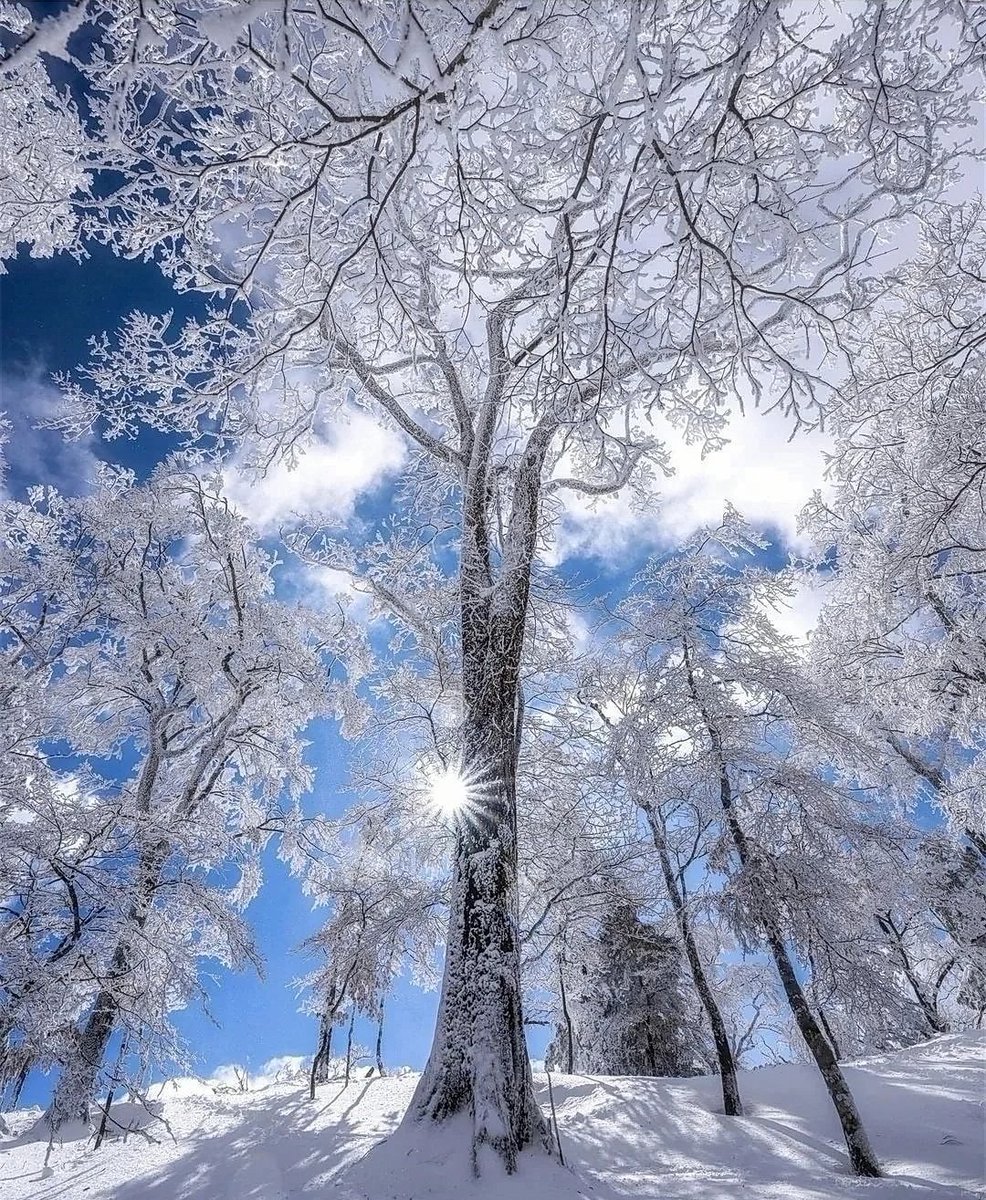 MirkoVasi2's tweet photo. Good morning everyone ❄️💙🌞 https://t.co/h5uH85hRcI