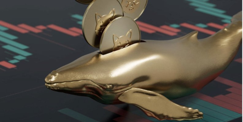 SHIB_NEO's tweet photo. #Binance is $SHIB Biggest Whale 🐳
wonder if they plan to use #Shibarium 🤔 https://t.co/lhK7U9yPLF