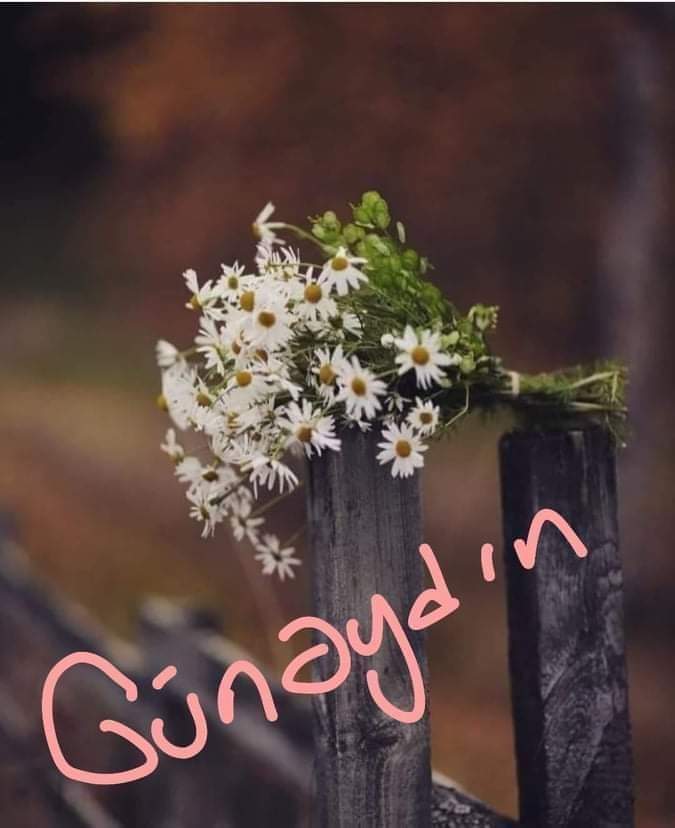 #peri 

Huzur dolu ,
Tazecik yeni bir sabahtan,
Herkese kalbinin renginde bir gün 
diliyorum...

Kıymetini bilin,
Nefesinizin,
Elinizdekilerin ve sevdiklerinizin. 

👒🌻#GÜNAYDIN #Dostlar #Gönlünüzce #Olsun #Gününüz #Ömrünüz 🐞🌹💛

🌞⛱🏡🌷🌾❤🌸☘