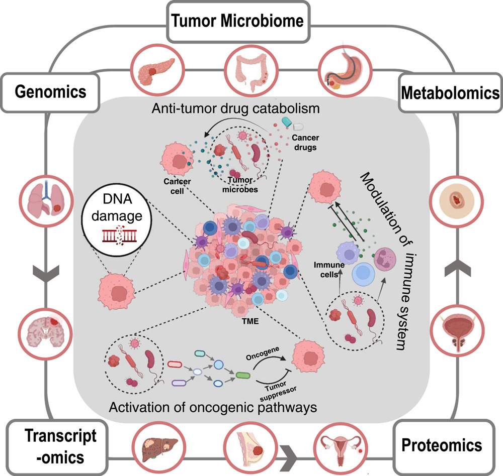 iMetaScience's tweet photo. Applying multi‐omics toward tumor microbiome research, reviewed by @QZ_ChemSynBiol 
#Bioinformatics #microbiome #metagenomics #multiomics #Cancer #tumor #MedTwitter 
@wileymicrobio @WileyBiomedical @WileyHealth 
https://t.co/CUoyVpArsU https://t.co/zzkKR6nZv8