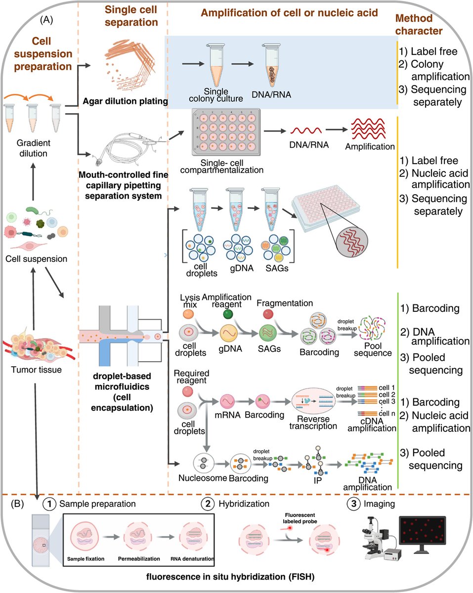 iMetaScience's tweet photo. Applying multi‐omics toward tumor microbiome research, reviewed by @QZ_ChemSynBiol 
#Bioinformatics #microbiome #metagenomics #multiomics #Cancer #tumor #MedTwitter 
@wileymicrobio @WileyBiomedical @WileyHealth 
https://t.co/CUoyVpArsU https://t.co/zzkKR6nZv8
