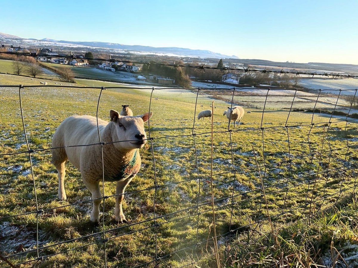 Getting out in nature for regular refresh air and exercise can help beat the winter blues. Whether it’s a walk in the park, or our in Scotland’s beautiful countryside Lots of great information and advice on how to help yourself stay well on NHSinform nhsinform.scot/healthy-living…