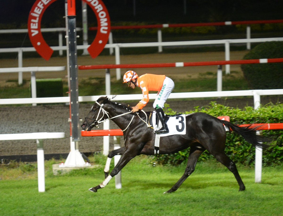 KingDavidTR (@kingdavidtr1) on Twitter photo 