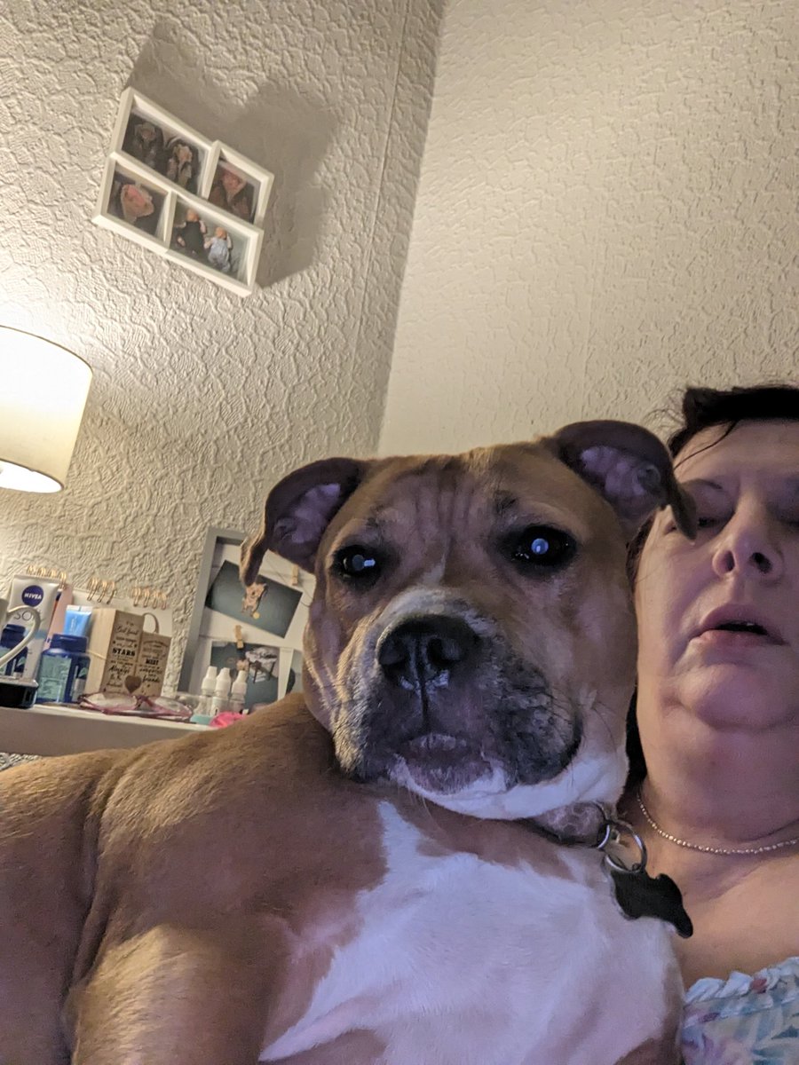 A very good morning everypawdy from me and hoomum. Hope you're all well and have a terrific Tuesday xx