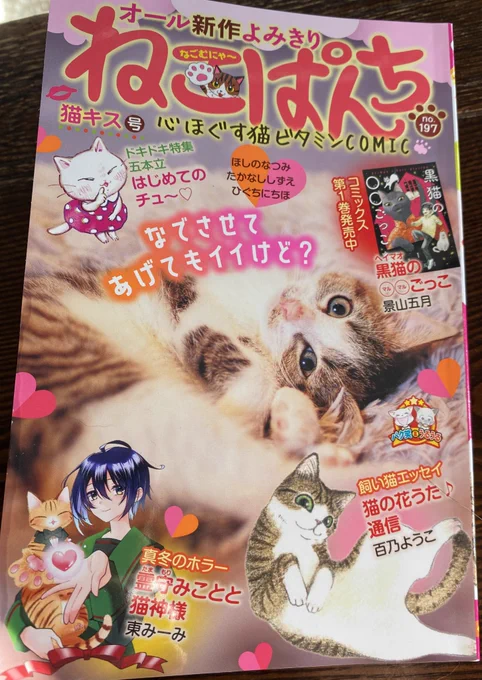 本日、ねこぱんち発売です。
じっちゃんと猫の住む街はバレンタインです。よろしくお願いいたします。 