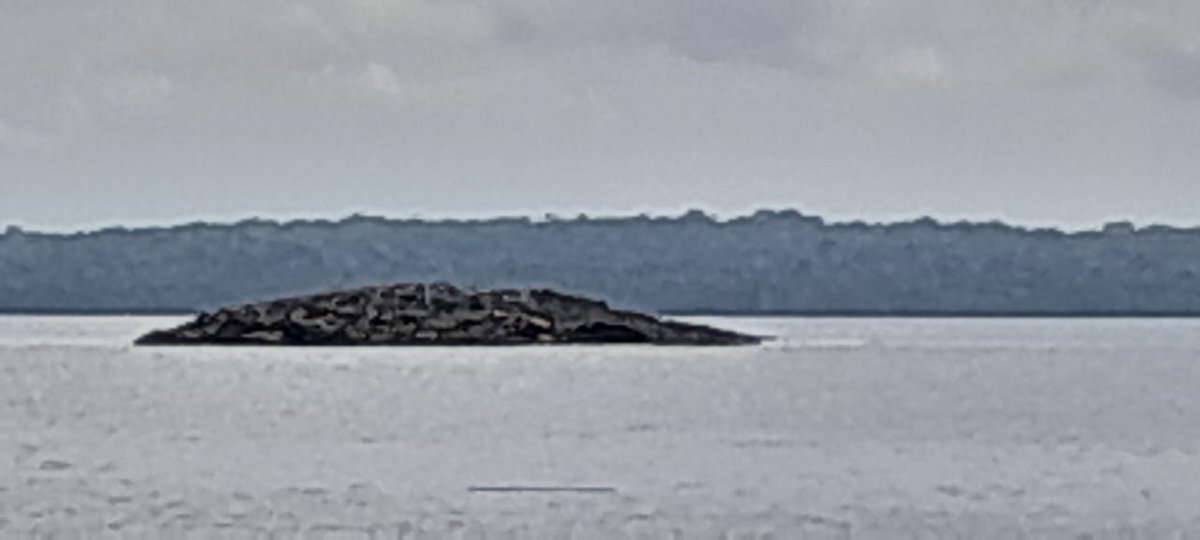 dafideff's tweet photo. Fenomena geologi pasca #gempa 7,9 SR muncul daratan dari dalam laut di desa Teinema, kecamatan Wuarlabobar, kab. Kepulauan Tanimbar https://t.co/MYTMOQA8mR