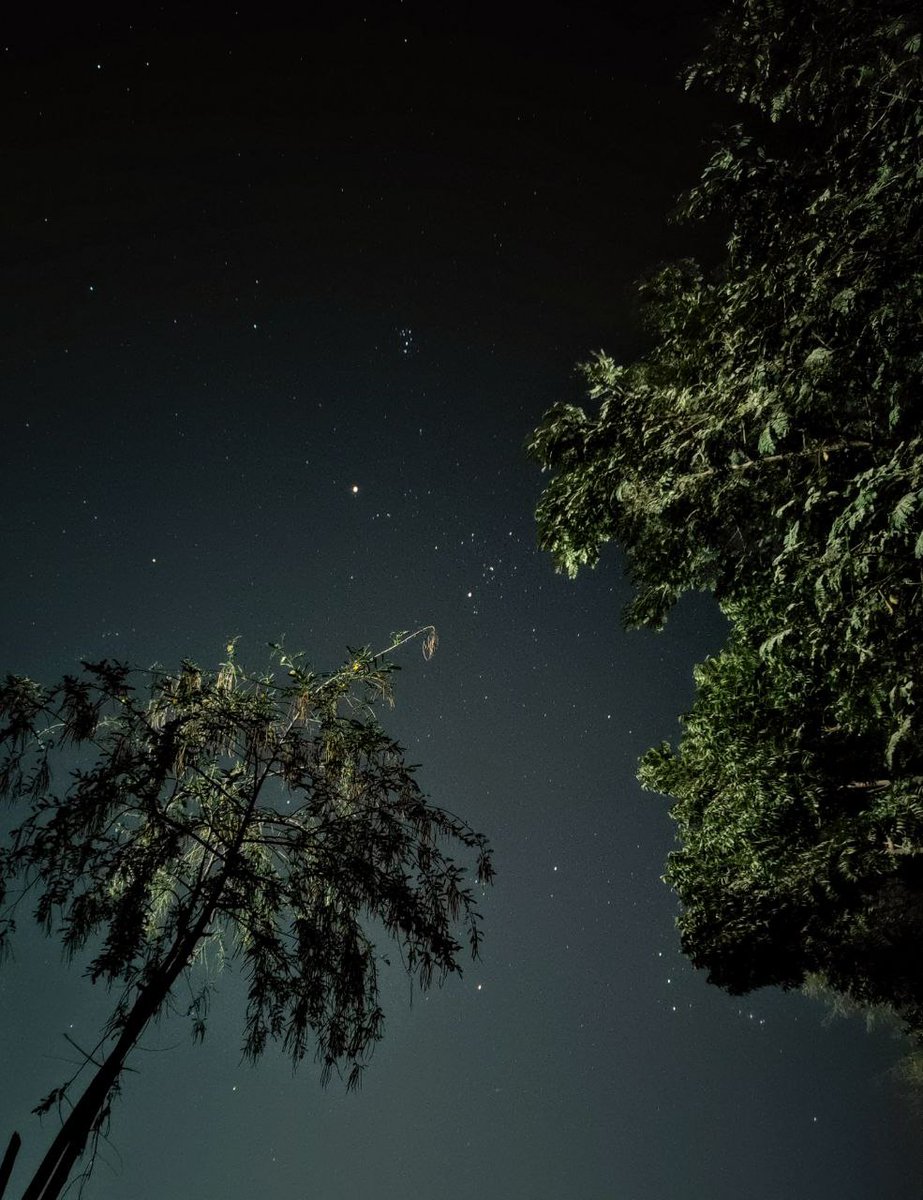 smartphone_astr's tweet photo. By our member Leo ABC "#Pleiades in center frame
than #Mars and #Orion in bottom
#RN9pro stock camera
Iso 1600
Shutter 10 sec" #astronomy #Astrophotography #mobilephotography #Nightsky #Stargazing #sky #Stars #Space https://t.co/qd2PpvJgF3