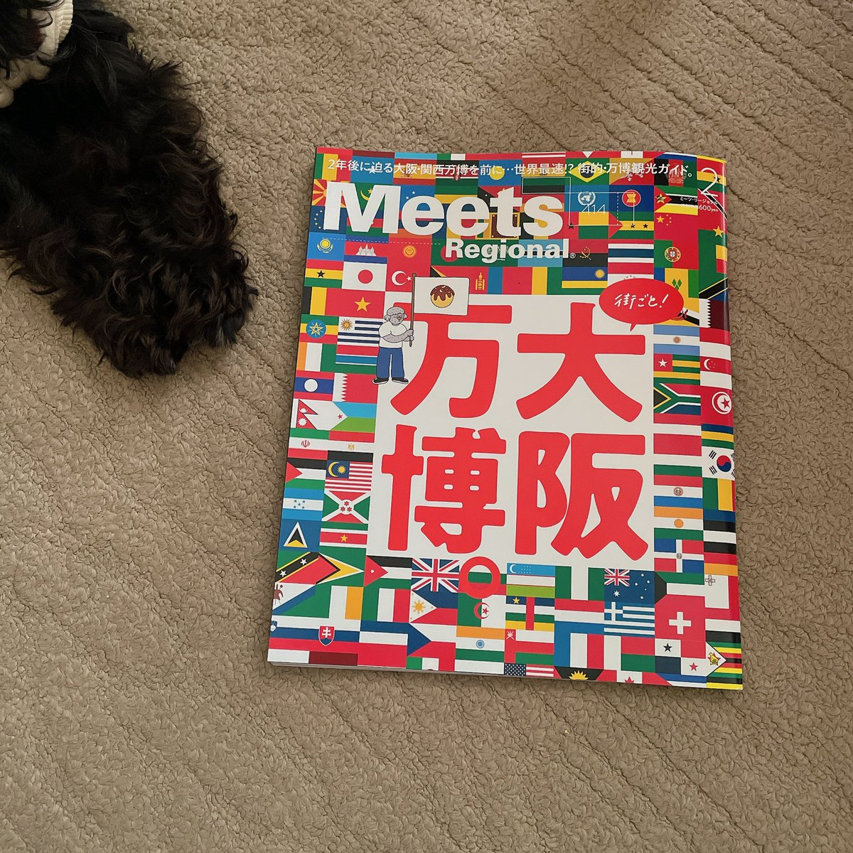 nogiotani's tweet photo. 現在、販売中のmeetsさんにて
イラストページ描かせて頂いております！

沢山の方に見て頂けますように。

いつもありがとうございます。

#meets #雑誌 #イラスト #デザイン
#dog #犬 #japan #osaka #animal https://t.co/yxVKhlNVpe