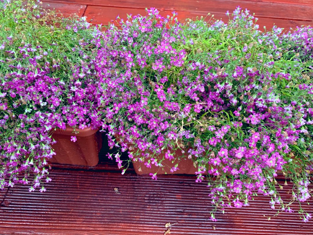 세상에서 가장
행복할때는 친구를
사랑하는 맘이 남아 있을때고

세상에서 가장
울고싶을때는 친구가
내곁을 떠나갈때 입니다
…

세상에서 가장
고마울때는 친구가 나의 마음을 알아줄때이고

세상에서 가장
편안할때는 친구가 
내곁에 머물러 있을때 입니다

🥀친구/좋은글 중에서