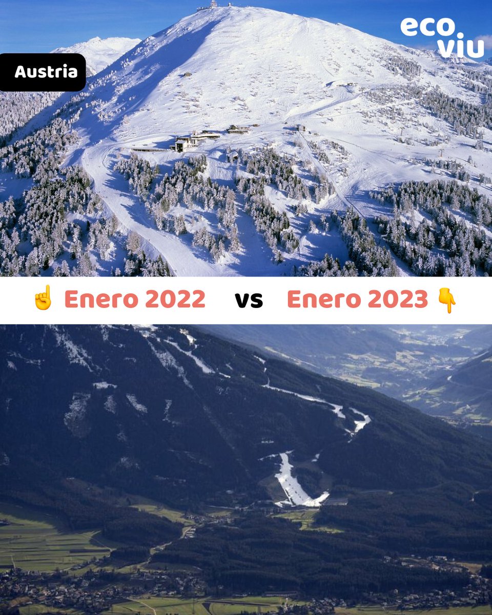 ecoviu tweet media