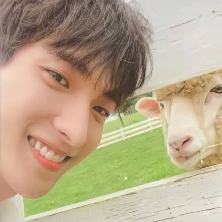 dayskzheroes's tweet photo. #dayteen crumbs 😍🫵 https://t.co/oKtUgwVOka