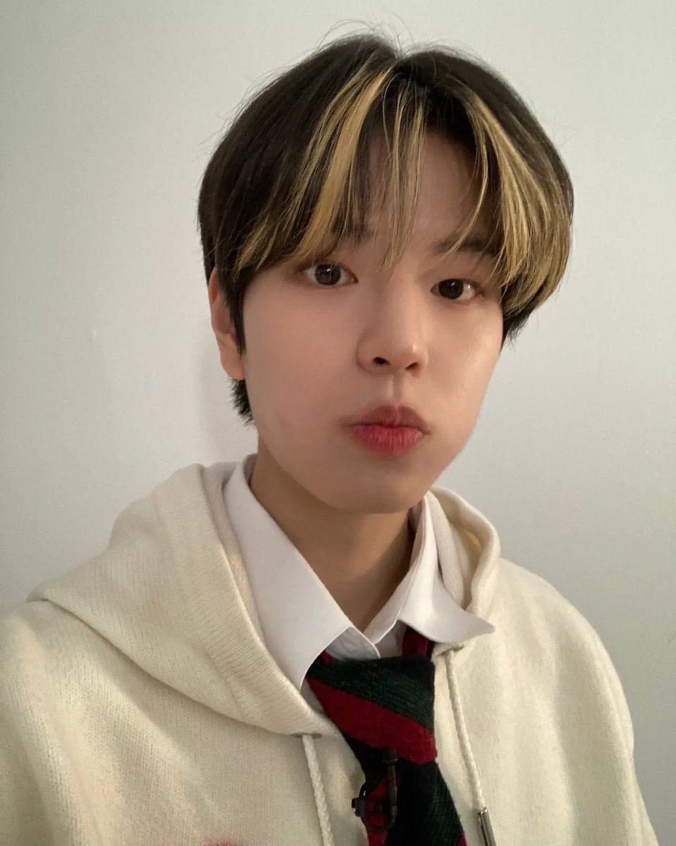 seungmin tweet media