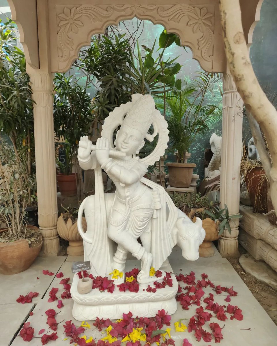 stonemartindia1's tweet photo. 3.5 feet white marble #LordKrishnaStatueWithCow with 12 feet big #StoneTemple or #Gazebo from #Stonemart™. Order today!
https://t.co/EEPlhwt6go
#StonemartIndia #Goa #Chennai #Coimbatore #Mumbai #Pune #Hyderabad #Bangalore #Lucknow #Kolkata #Gurgaon #Erode #Kozhikode #Kollam https://t.co/zQJqyrsL2m