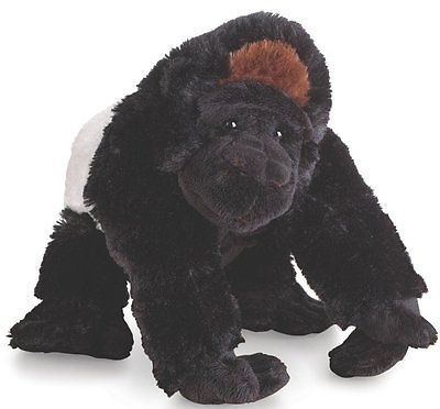 kinz_bot's tweet image. Silverback Gorilla (August 2008)