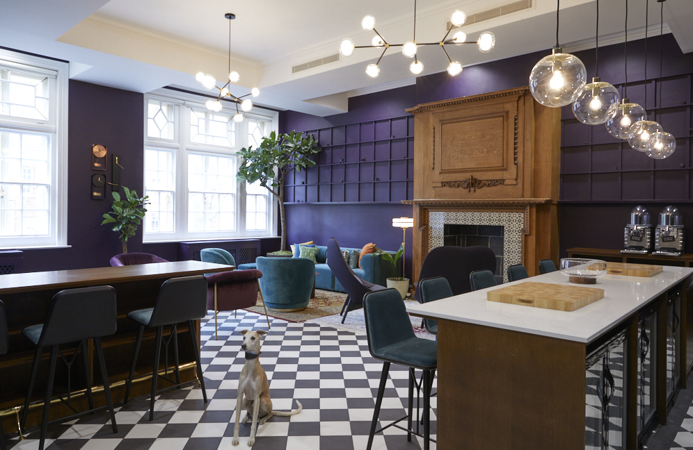 Tracey Barr tweet media