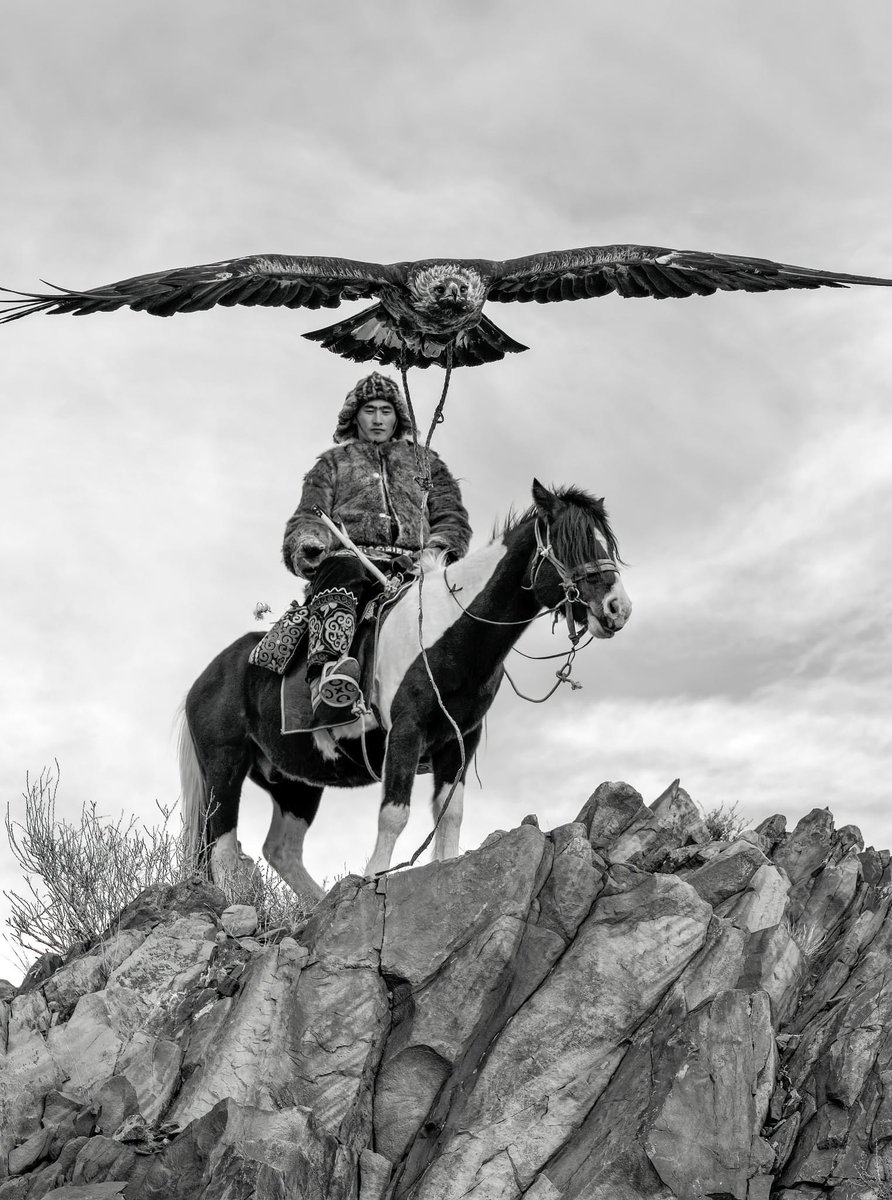 AyanTravel's tweet photo. Each photograph is a story captured in a single moment.

#SagsaiGoldenEagleFestival for #Photographers #AyanTravelMongolia #eaglefestival https://t.co/jb405kWsGS