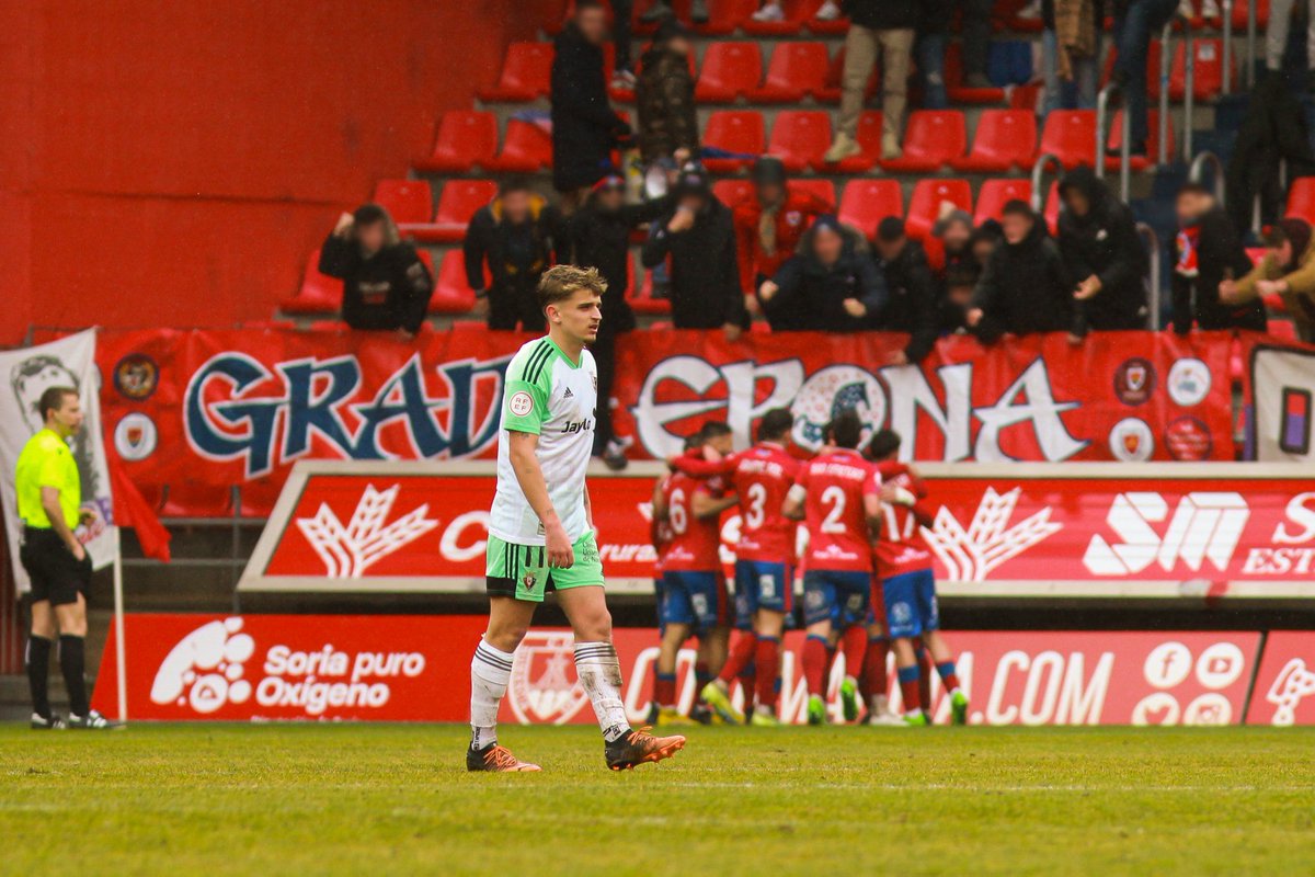 Orgullo Numantino tweet media