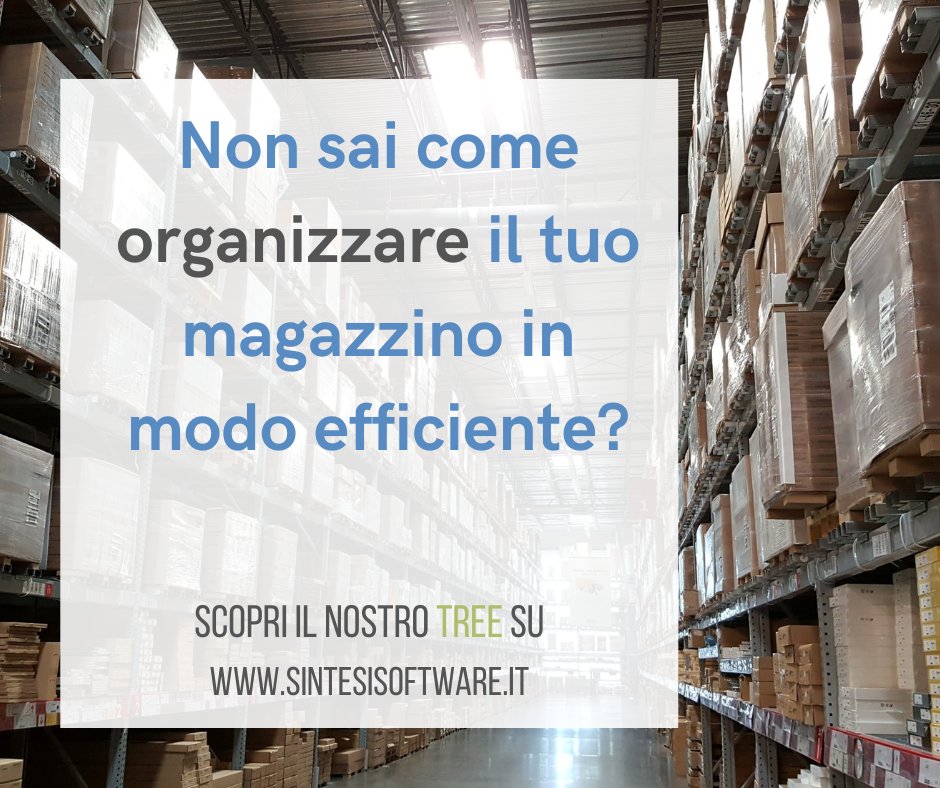 SintesiSoftware tweet picture