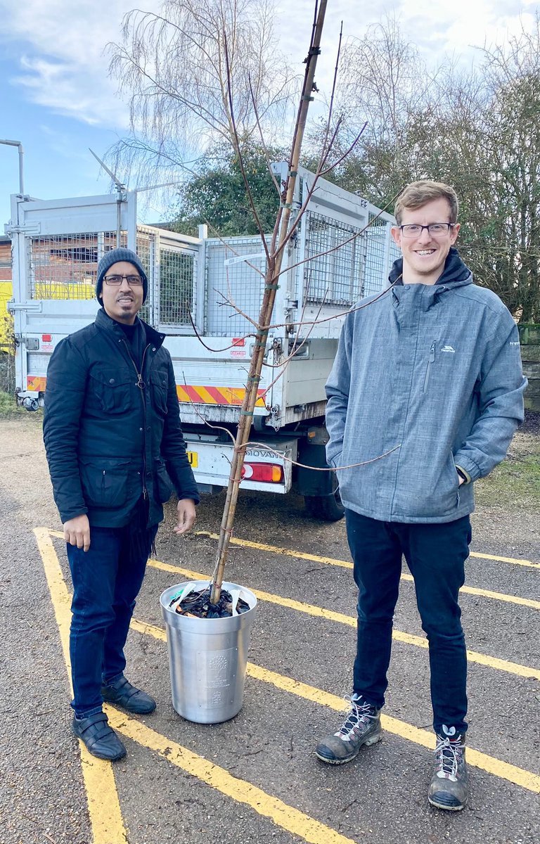 Yesterday Sujel and Sam picked up our Queens Green Canopy 'Tree of Trees' ready for planting today. 

We are honoured to have received this. 

#TreeofTrees #ATreeForEveryLife 🌳