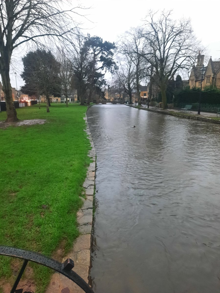 No Christmas tree to brighten this wet, dull January morning, river running full too. #Bourtononthewater