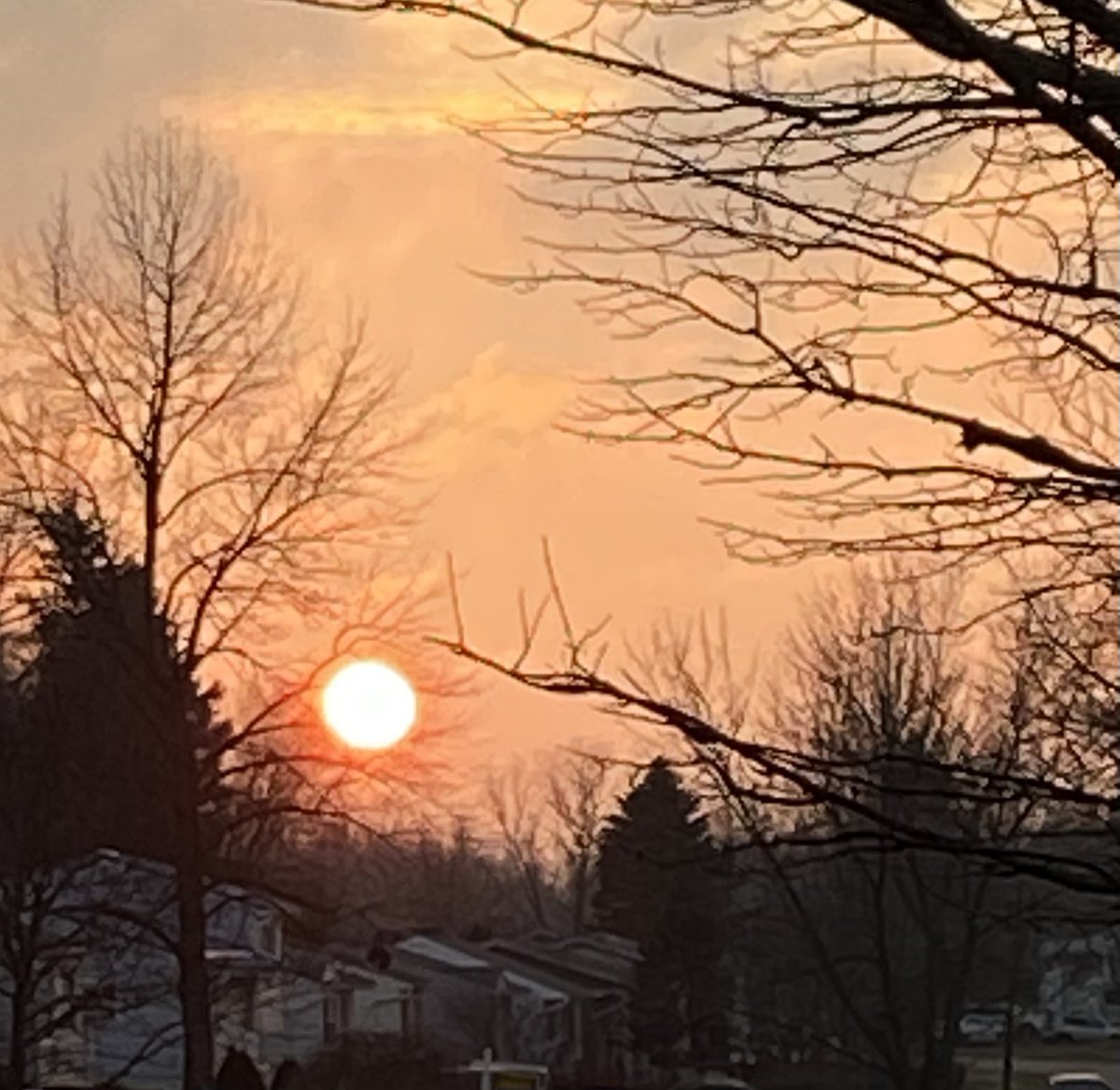 TonyMel13027869's tweet photo. January sun โ๏ธ #januarysun https://t.co/9uScytz4Mm