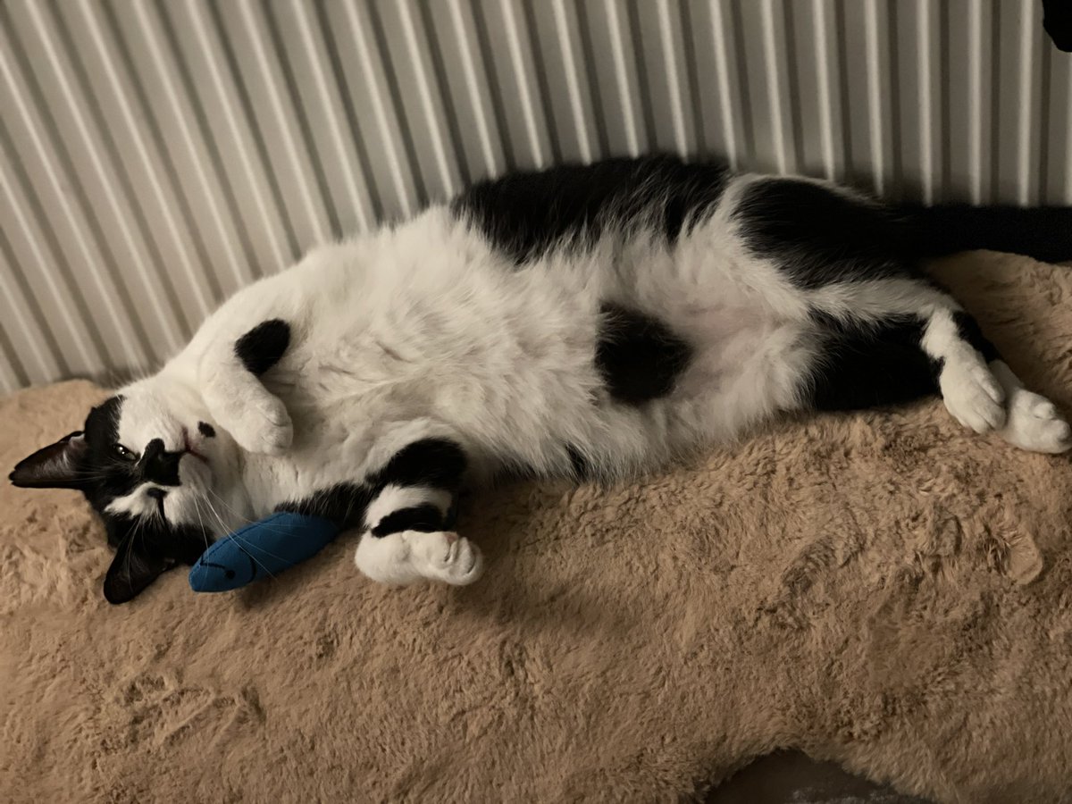 Jane Scrivner tweet media