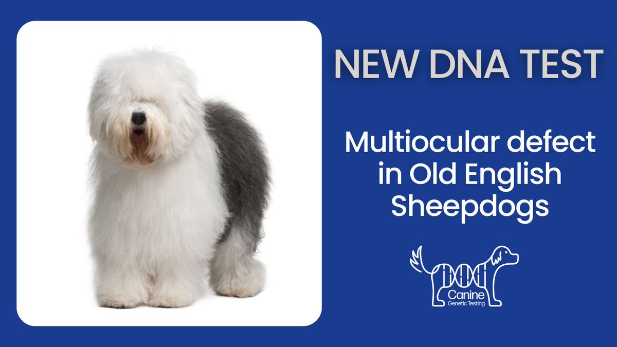 Canine Genetic Testing tweet media