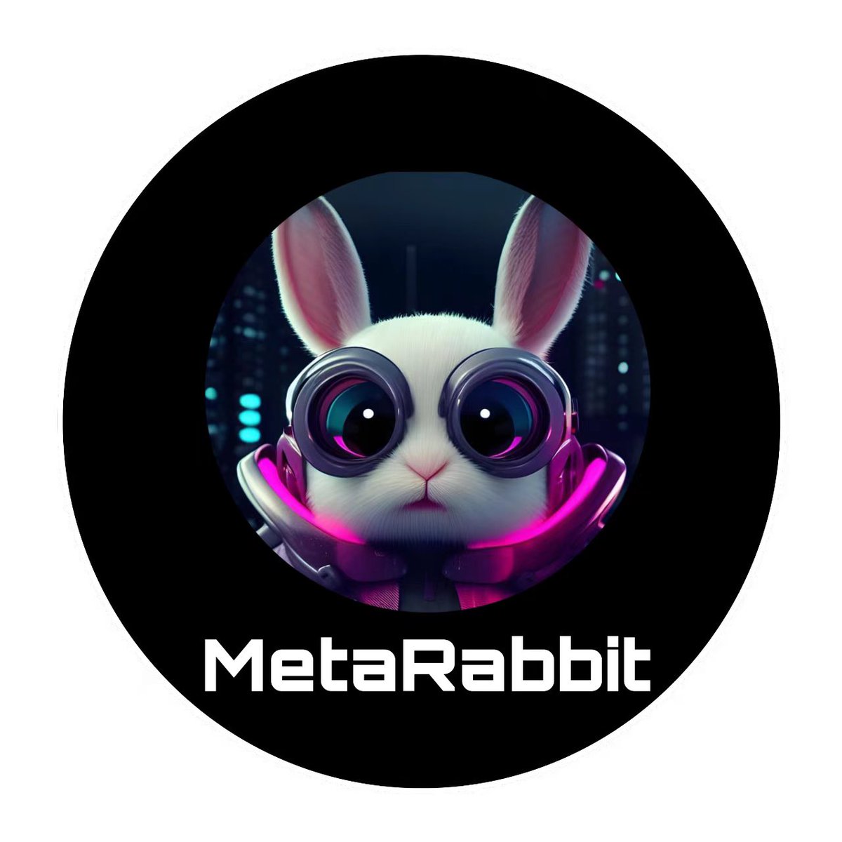 💮MetaRabbit💮 tweet media