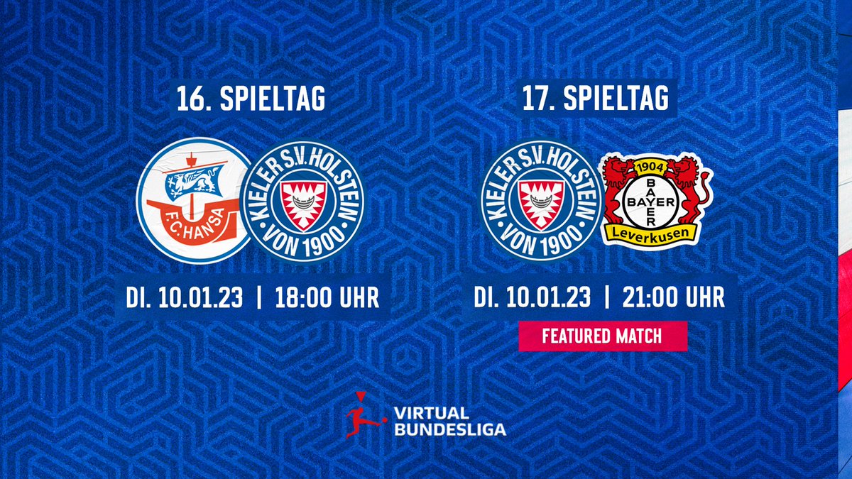 HolsteinEsports tweet media