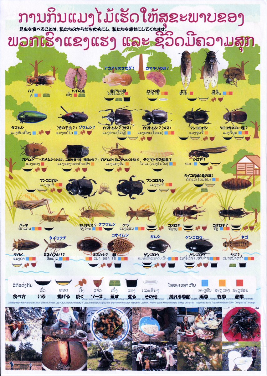 insectcuisine's tweet photo. タイの食用昆虫一覧表です。調理法と捕れる時期が一目でわかります。日本版を作りたいですね。 https://t.co/pt397QBCxR