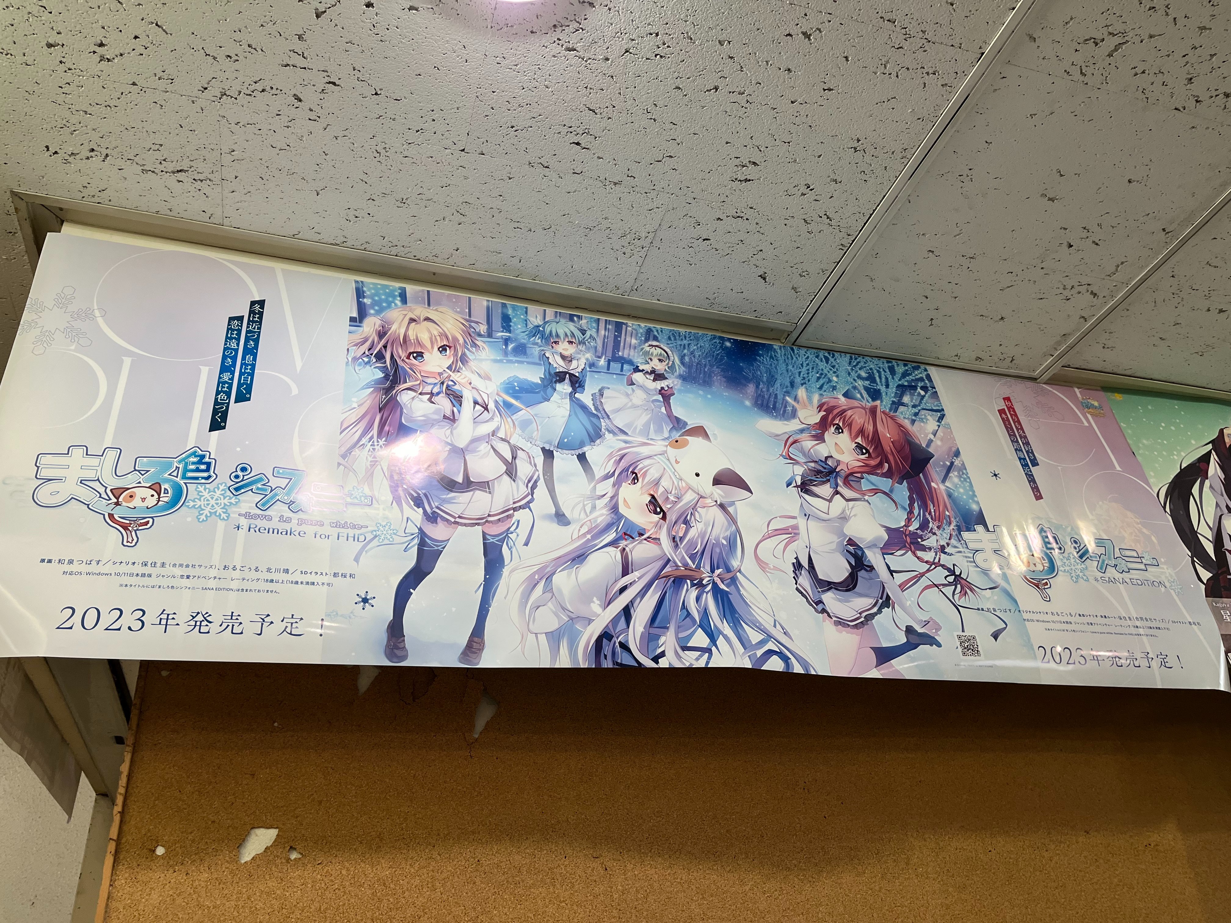 ぱれっと公式 on X: 