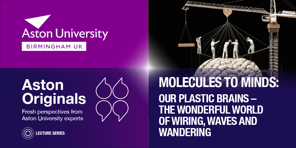 Sign up for our next #MoleculesToMinds lecture and go on an expert journey from neurons and how they connect to what happens when they go wrong. 

📅23 February 2023 @ 16:00 
 📍Online
Speaker: Dr Stuart Greenhill 
Sign up: bit.ly/3WmXgxb