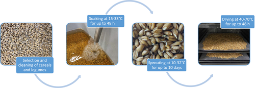 Leg4Dev's tweet photo. Can sprouting reduce phytate and improve the nutritional composition of cereals and #legumes?
New paper in @NBU_Editor on the potential of sprouting as commercial method to reduce phytate content & improve #nutritional value of crops
👉https://t.co/GYm5Iwqj3h
#SDGs https://t.co/yeCOgtIpyF
