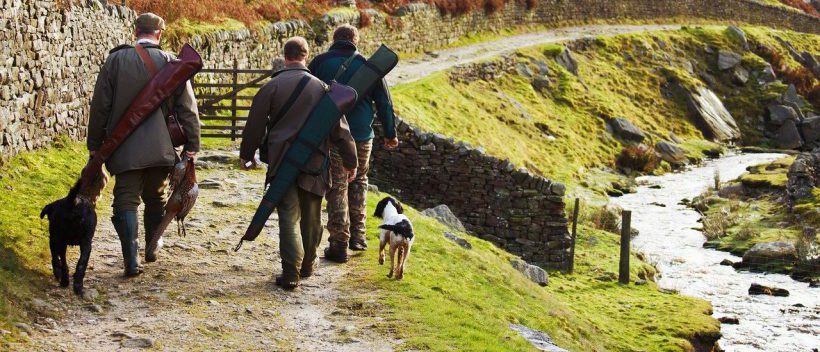 Le gouvernement demande aux Français d’arrêter de se placer dans la trajectoire des balles des chasseurs - ow.ly/EqmW50MmlTc