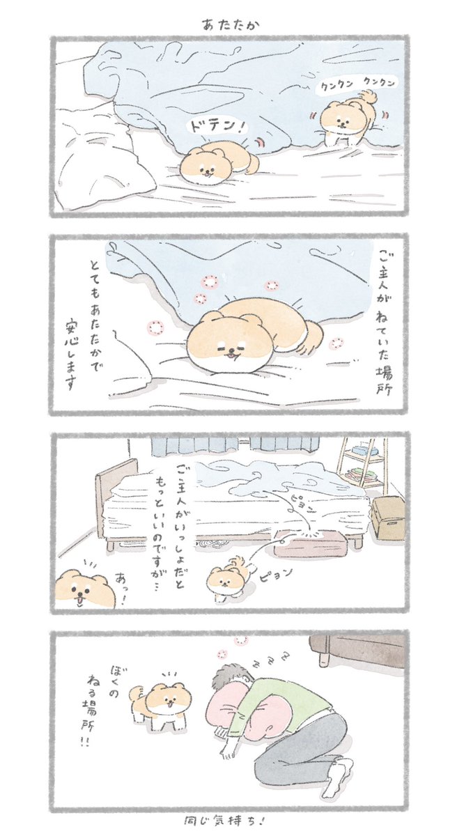 同じ気持ち
#こんにちはいぬです 