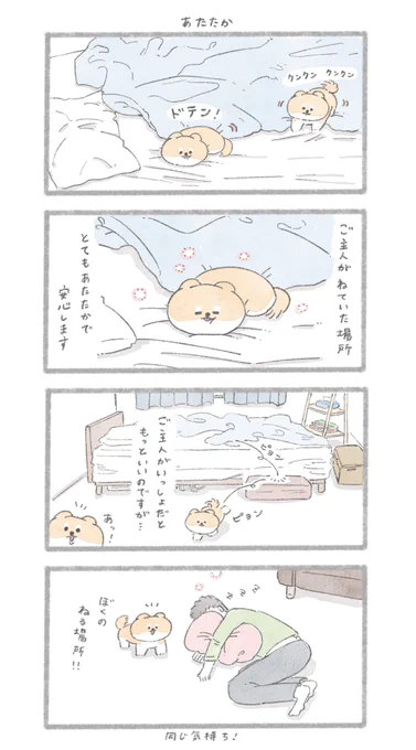 同じ気持ち
#こんにちはいぬです 
