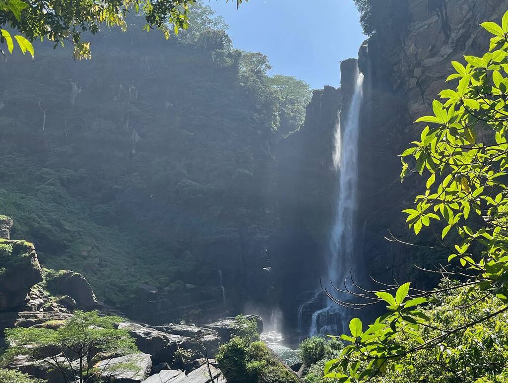 suephipps56's tweet photo. Waterfall swimming, coffee beans drying and back for lunch https://t.co/O5j4N3kX0q https://t.co/isWWuiYMkq