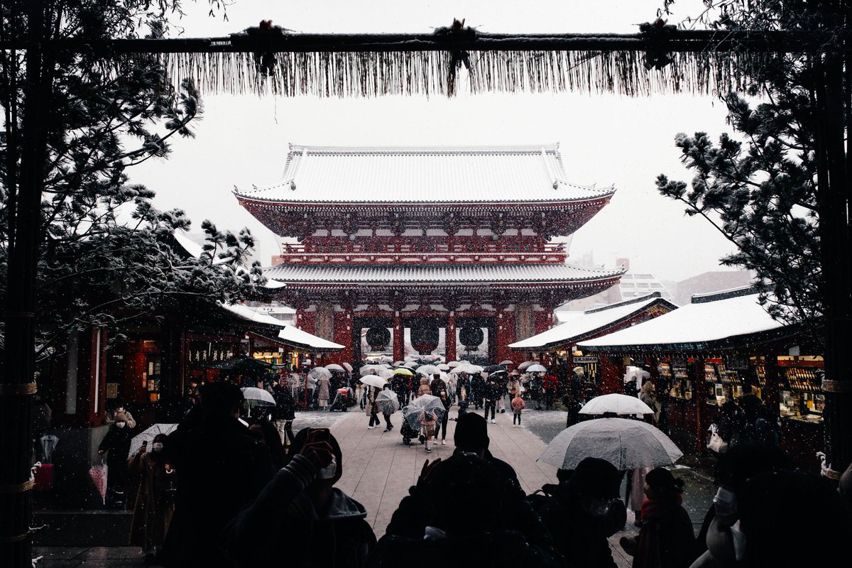 去年は東京でも、年明け早々に雪が降ったんですよね。今年は降らないかな。暖かいもんな。