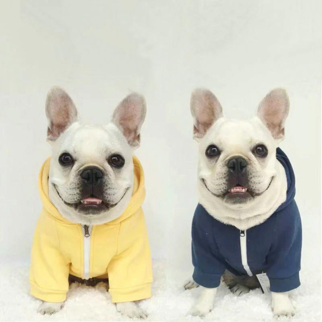 swancook2's tweet photo. Tip Hooded tracksuit
$29.99
#pets #dogs #animals #puppies #petlovers #petclothes #petloversofinstagram 

Pet store... https://t.co/2skx5rEYkC https://t.co/7KDoOfzOSb