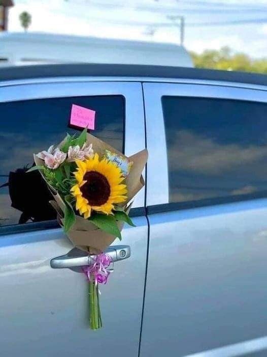 Nicola98027371's tweet image. “Farei ritornare di moda questi gesti.” #🌻
#_web
#spiritolibero🦋