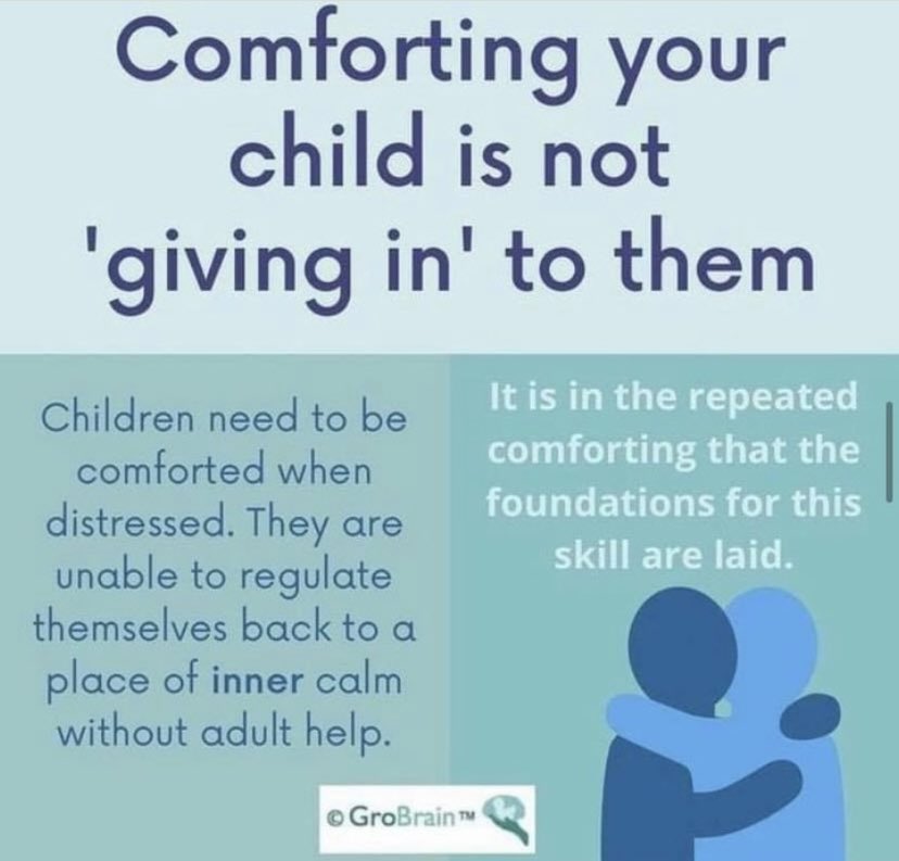 GroBrain tweet media