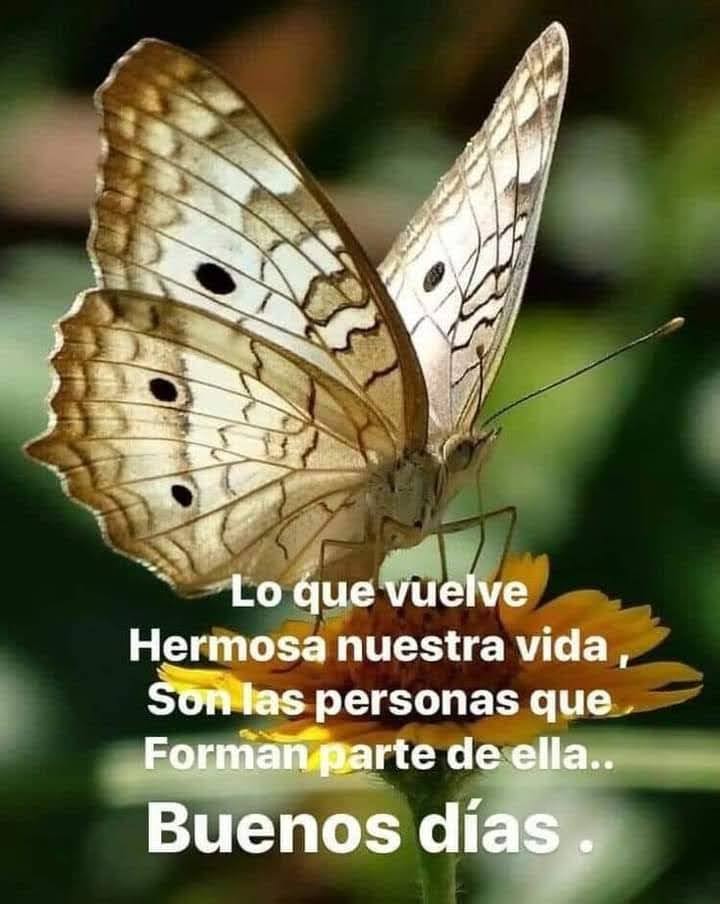 VidaEquilibrada (@vidaequilibrad4) on Twitter photo 