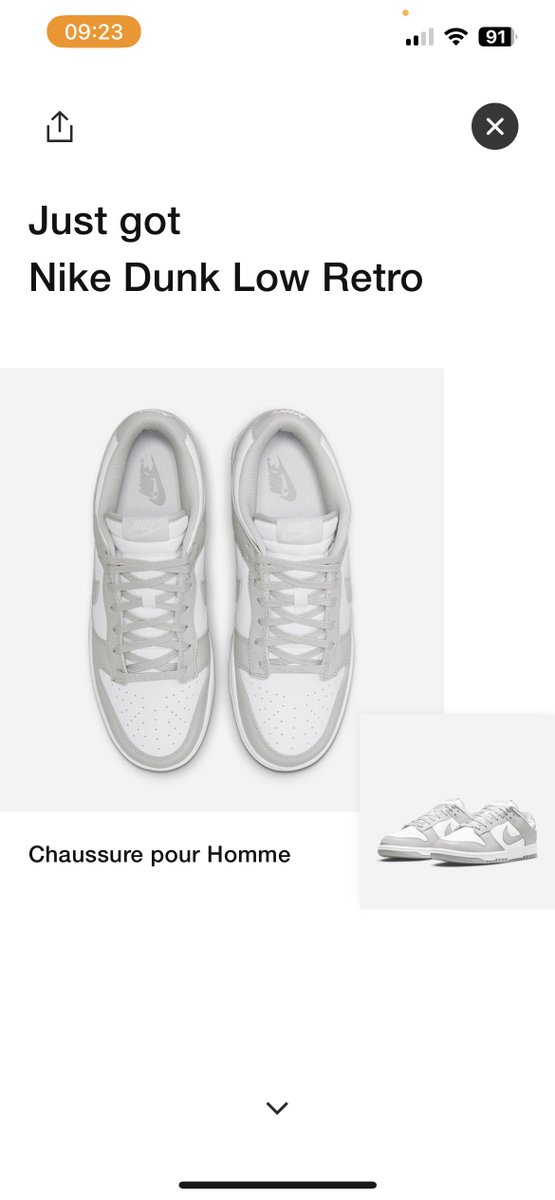 eldoums's tweet photo. What a pleasure 

x18 grey fog ; x1 mint thanks to @AAShoppingBot 
x2 grey fog manu ; x3 mint manu thanks to my female bots 

Prox : @BlueMagicProxy @TyphonClub 
CG : @Nootify @GoatifyIO 
FNF : @CitrusFNF @FnFColony https://t.co/lVxmhpRzNo